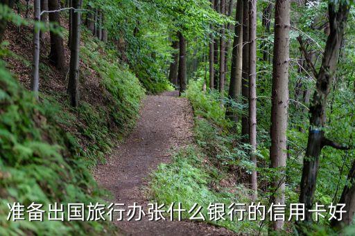 出國旅行用什么信用卡，去國外旅游辦什么信用卡比較好