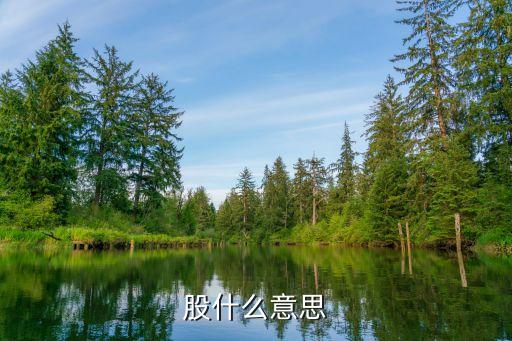 一個(gè)股是什么意思，股什么意思
