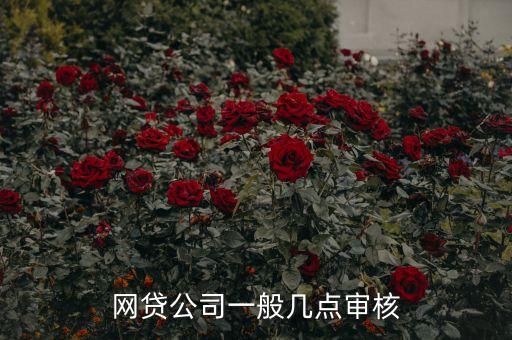 第一次網(wǎng)貸用什么時候，手機(jī)貸款現(xiàn)在申請是什么時候還第一次
