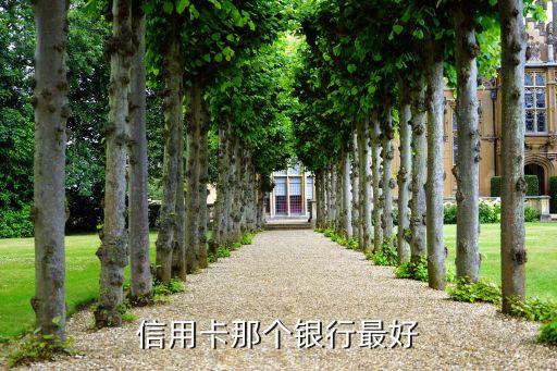 什么銀行的信用卡最差，興業(yè)銀行卡最差等級的卡是哪種