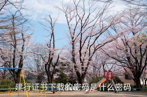 建行證書密碼是什么，建行網(wǎng)上銀行證書下載密碼是什么啊