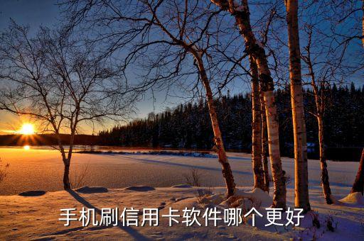 手機(jī)刷信用卡軟件哪個(gè)更好