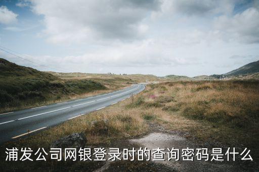 查詢銀行卡網(wǎng)上密碼是什么，浦發(fā)公司網(wǎng)銀登錄時(shí)的查詢密碼是什么