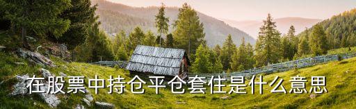 持倉是什么意思啊，持倉單什么意思
