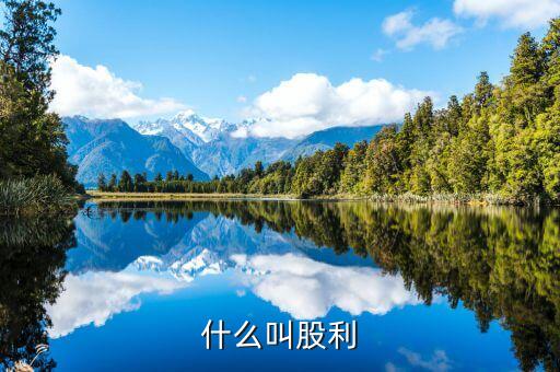 股利是什么，什么是股利