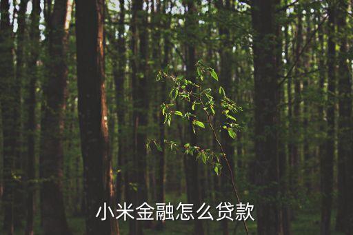 小米金融怎么貸款