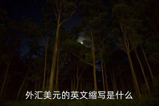 外匯美元的英文縮寫是什么