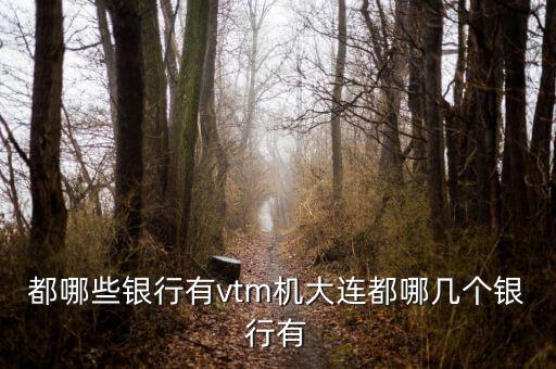 都哪些銀行有vtm機(jī)大連都哪幾個(gè)銀行有