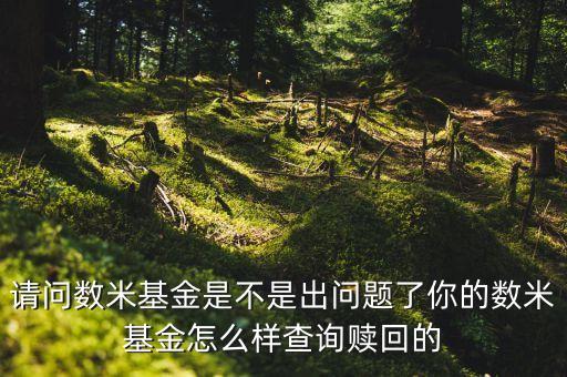 請問數(shù)米基金是不是出問題了你的數(shù)米基金怎么樣查詢贖回的