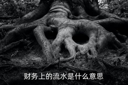 財務(wù)上的流水是什么意思