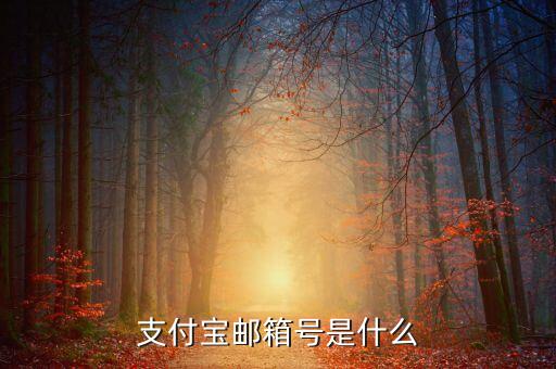 支付寶郵箱號(hào)是什么