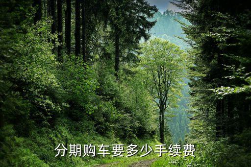 分期購車要多少手續(xù)費