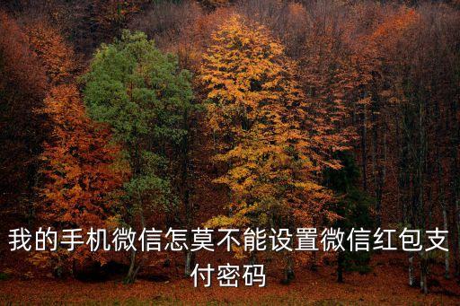 我的手機(jī)微信怎莫不能設(shè)置微信紅包支付密碼