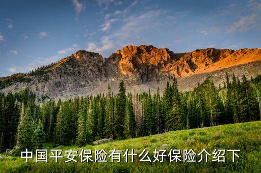 平安保險有什么產(chǎn)品，中國平安保險有什么好保險介紹下