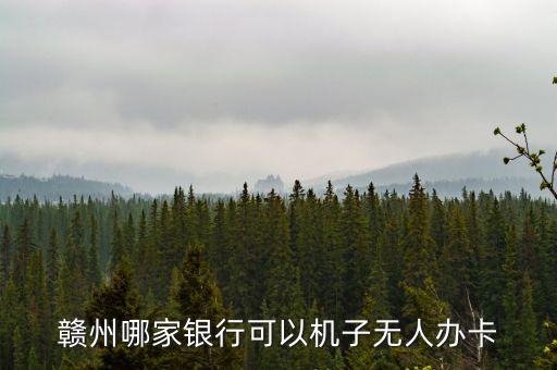 贛州哪家銀行可以機(jī)子無(wú)人辦卡