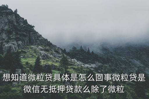 微聚貸是什么東西，微聚未來公司情況什么時候有微博借錢的