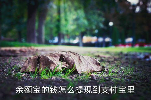 余額寶什么到賬戶余額，支付寶余額寶怎么轉(zhuǎn)到賬戶余額