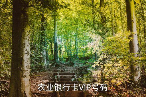 農(nóng)行會(huì)員號(hào)是什么，農(nóng)業(yè)銀行卡VIP號(hào)碼
