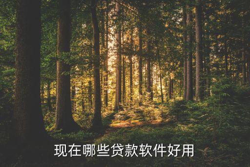 現(xiàn)在哪些貸款軟件好用