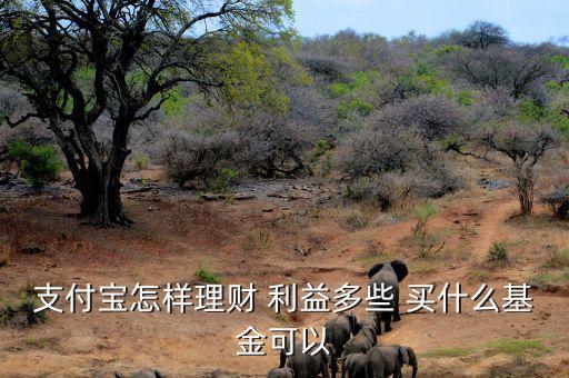 支付寶最近什么基金可買，支付寶有哪些貨幣基金