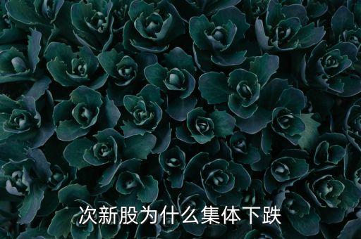 次新股為什么集體下跌
