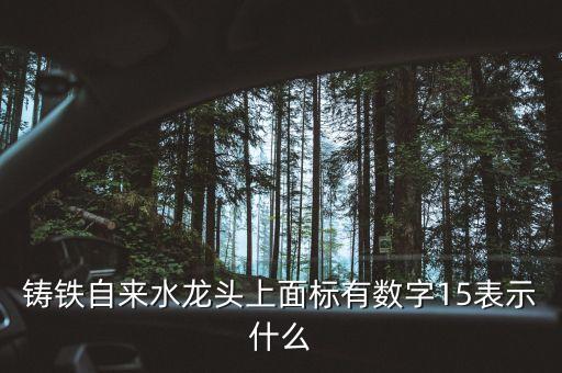 鑄鐵自來水龍頭上面標(biāo)有數(shù)字15表示什么
