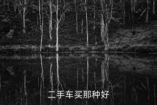 二手車買那種好