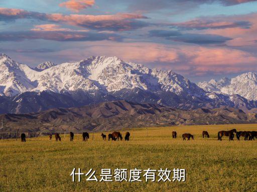 什么是額度支用期，花唄額度的有效期是什么意思