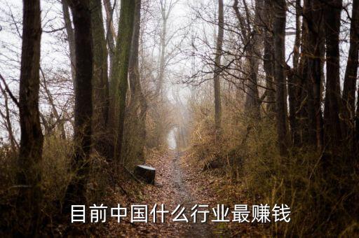 目前中國什么行業(yè)最賺錢