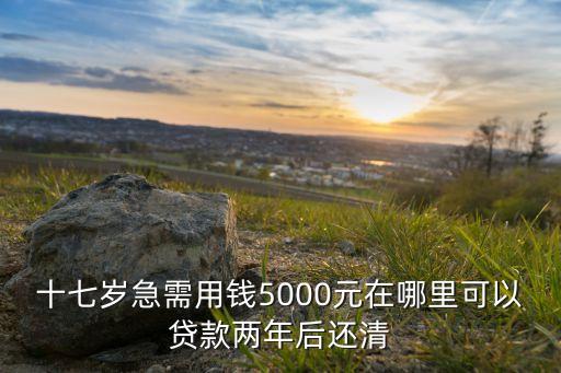 十七歲急需用錢(qián)5000元在哪里可以貸款兩年后還清