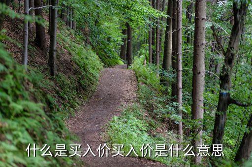 什么是買(mǎi)入價(jià)買(mǎi)入價(jià)是什么意思