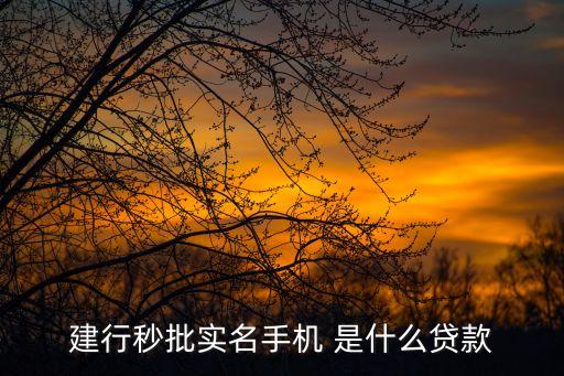 銀行秒批是指什么，建行秒批實(shí)名手機(jī) 是什么貸款