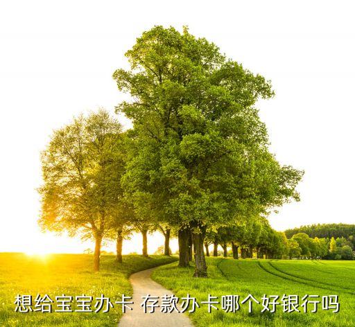給孩子存錢存什么銀行卡嗎，想給孩子辦一種銀行卡每個月固定存錢到上大學的時候取一筆錢