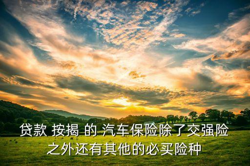 貸款 按揭 的 汽車保險除了交強險之外還有其他的必買險種