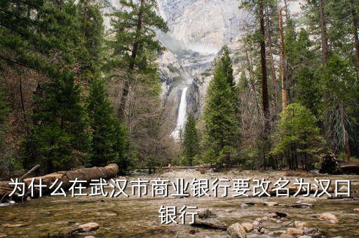 什么是武漢市商業(yè)銀行，武漢市有沒有商業(yè)銀行
