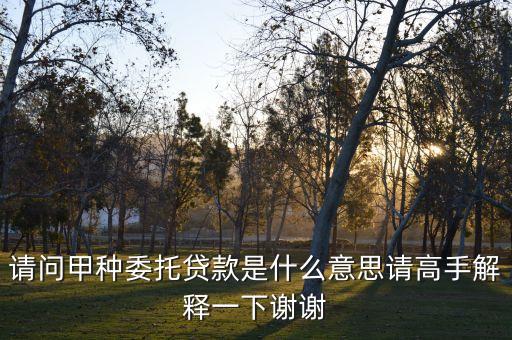什么是委托貸款基金，委托基金是什么
