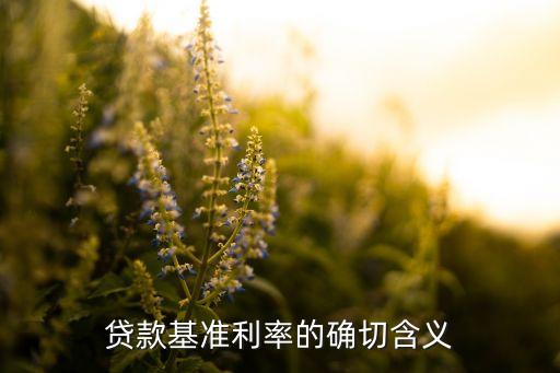 貸款基準(zhǔn)利率的確切含義