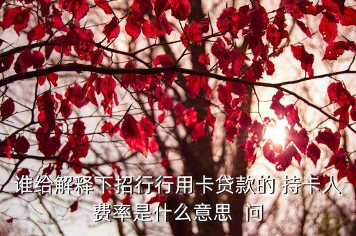 誰給解釋下招行行用卡貸款的 持卡人費率是什么意思  問