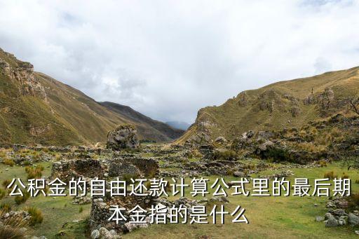 公積金的自由還款計算公式里的最后期本金指的是什么