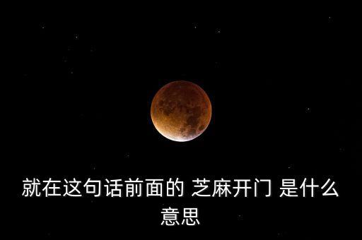 就在這句話前面的 芝麻開門 是什么意思