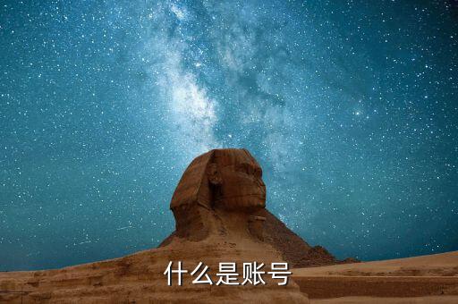 什么是賬號