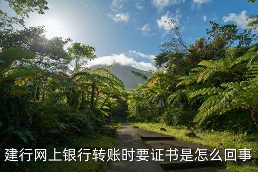為什么轉(zhuǎn)賬要u盾證書，建行網(wǎng)上銀行轉(zhuǎn)賬時(shí)要證書是怎么回事