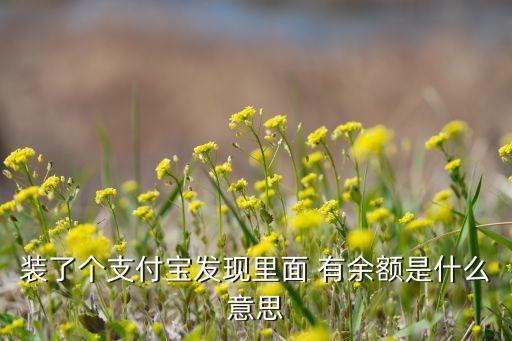 支付寶里余額指什么意思，裝了個(gè)支付寶發(fā)現(xiàn)里面 有余額是什么意思