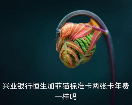 興業(yè)銀行恒生卡是什么，為什么興業(yè)銀行信用卡卡片上都有標恒生兩個字呀