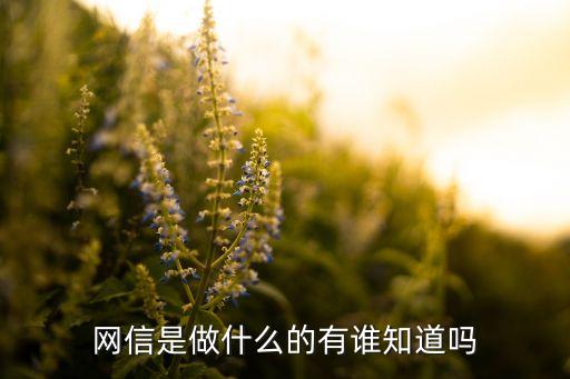 網(wǎng)信是做什么的有誰知道嗎