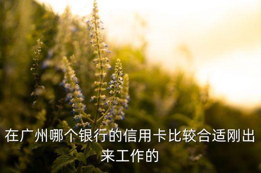在廣州哪個(gè)銀行的信用卡比較合適剛出來工作的