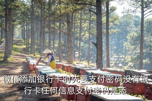 微信添加銀行卡時(shí)先要支付密碼沒有銀行卡任何信息支付密碼是添