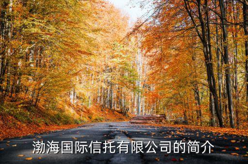 渤海國(guó)際信托有限公司的簡(jiǎn)介