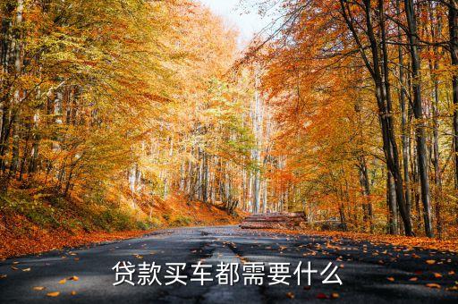 貸款買車都需要什么