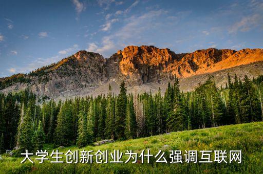 大學(xué)生創(chuàng)新創(chuàng)業(yè)為什么強(qiáng)調(diào)互聯(lián)網(wǎng)